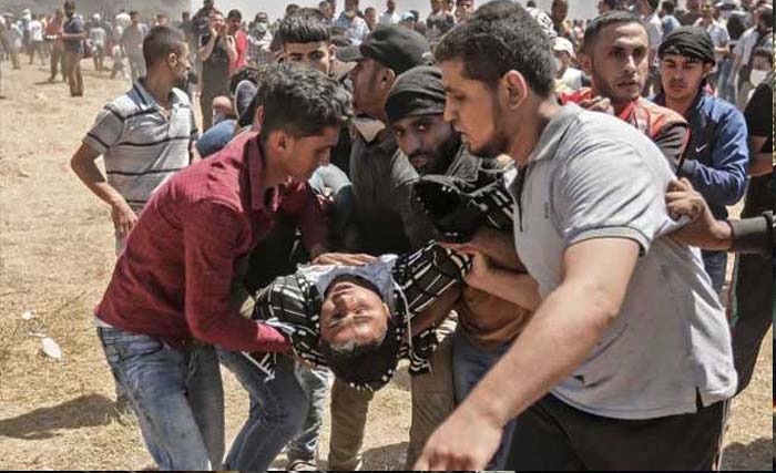 Korban kebrutalan tentara Israel  di Gaza, Palestina dievakuasi teman-temannya. (Foto:NDTV.Com)