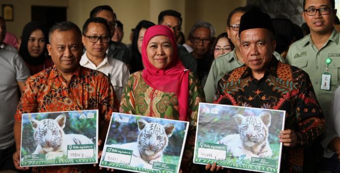 Gubernur Jawa Timur Khofifah Indar Parawasa saat menghadiri Hari Anak Nasional di Taman Safari Indonesia, Prigen Pasuruan. (Foto: Dok Humas)