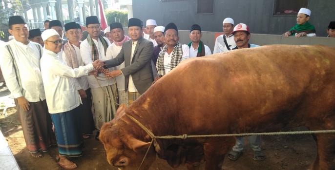 Bupati Pasuruan, HM Irsyad Yusuf menyerahkan hewan kurban kepada panitia Masjid Baitul Falah, Purwosari, Minggu, 11 Agustus 2019.  (Foto: Dok Humas)