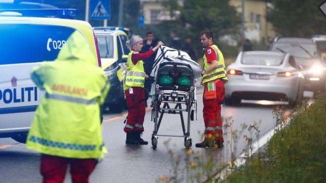 Polisi Norwegia mengatakan tersangka tampaknya bertindak sendirian. (Foto: bbc)