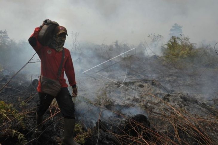 Petugas Manggala Agni Daops Kota Jambi membawa selang saat mengupayakan pemadaman kebakaran lahan gambut di Kumpeh Ulu, Muarojambi, Jambi, Selasa 6 Agustus 2019. (Foto; Antara/Wahdi Septiawan)