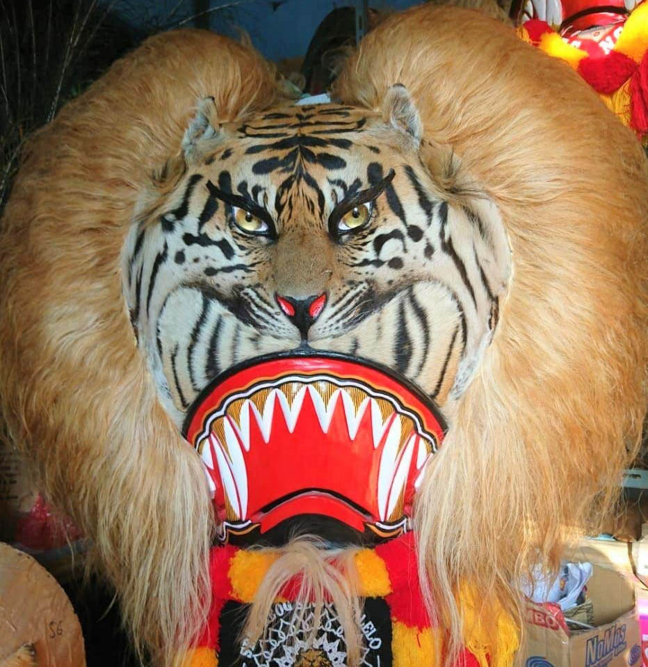 Kepala harimau yang telah menjadi properti reog. (Foto: WCS Indonesia)