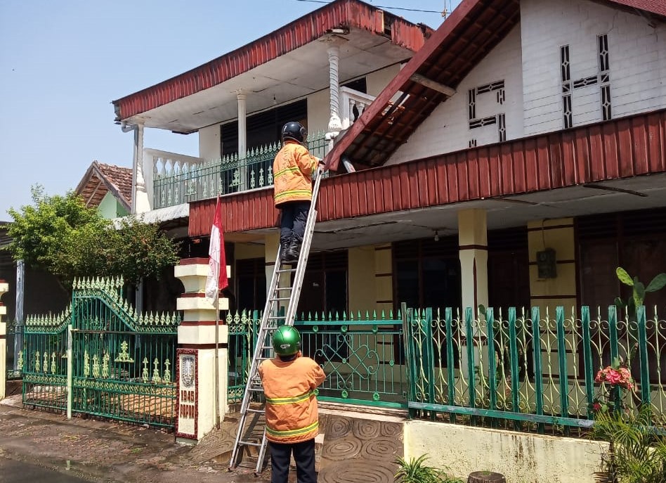 Petugas PMK Kabupaten Kediri mengevakuasi sarang tawon gong di rumah warga. (Foto: Fendy/ngopibareng.id)