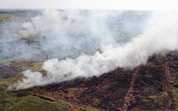 Ilustrasi kebakaran hutan Kalimantan. (Foto: Dok/Antara)
