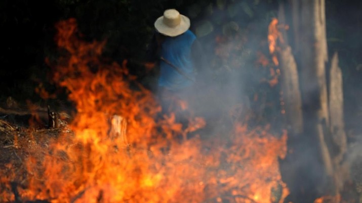 Kebakaran hutan di Amazon. (Foto: rtr)