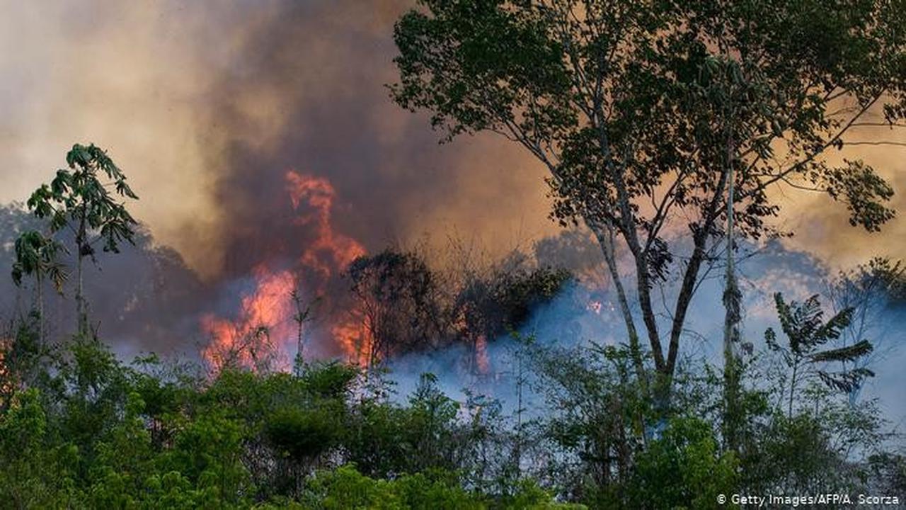 Kebakaran dahsyat di hutan hujan Amazon Brasil. (Foto: AFPA/A. Scorza)