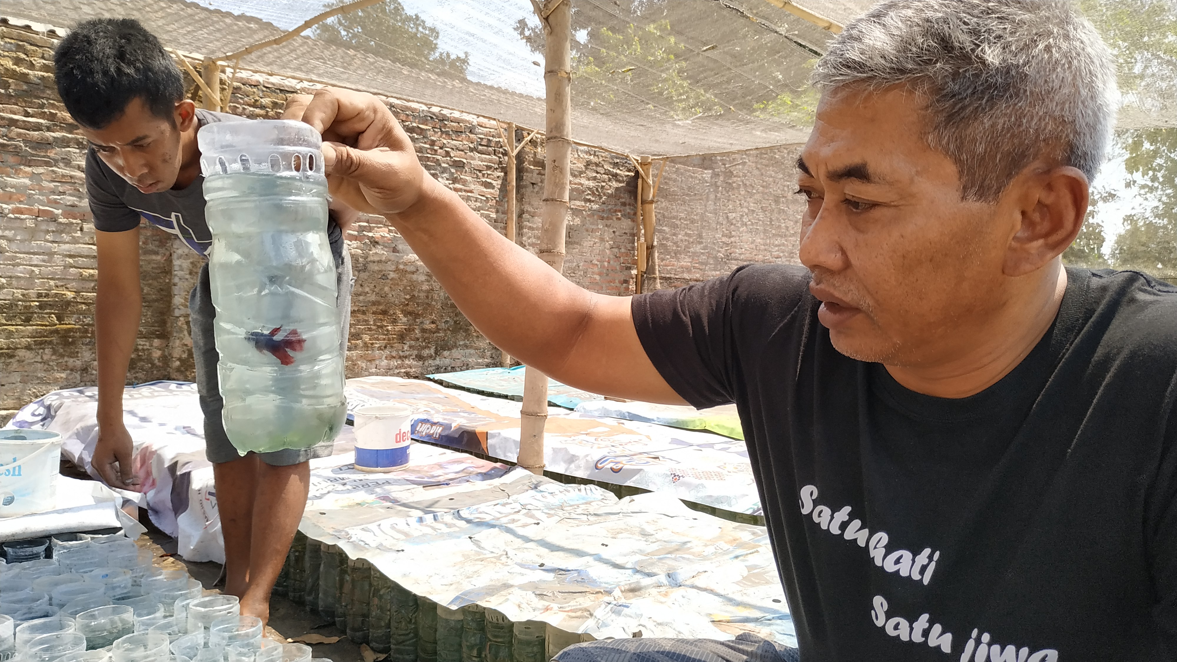 Anggota polri ipda Sarwo Edy tekuni profesi petani budidaya ikan cupang 