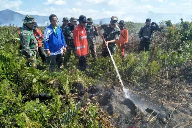 Ilustrasi - Aparat TNI bersama tim penanggulanga Karhutla berupaya memamdamkan api yang membakat lajan gambut di wilayah Kabupaten Kolaka Timur (Foto Antara/Darwis Sarkani)