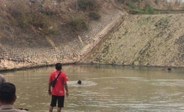 Warga berusaha melakukan pertolongan di Dam Wates, Kecamatan Mejayan, Madiun, kemarin. (Foto:Antara)