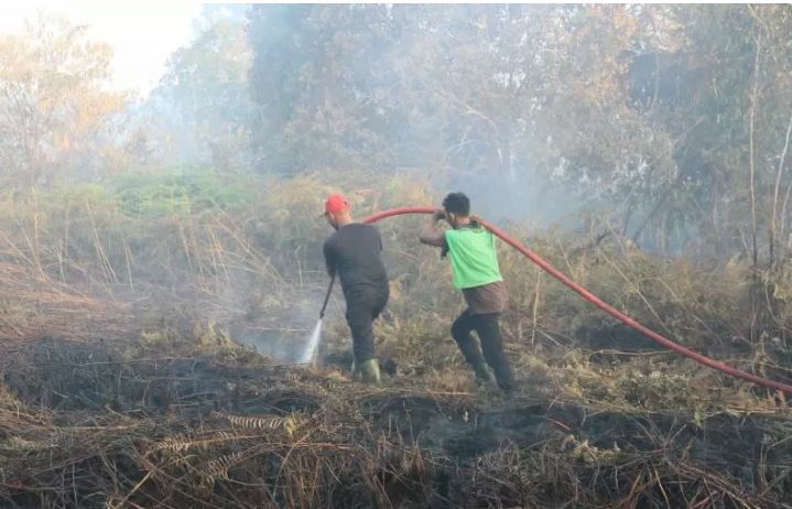    Foto ilustrasi petugas pemadam kebakaran berusaha memadamkan lahan gambut yang terbakar. (Foto: Antara/Syifa Yulinnas)
