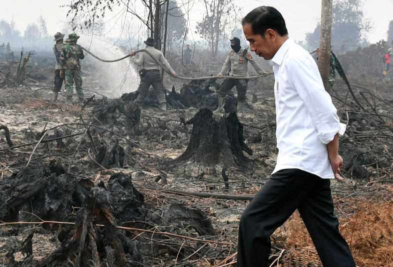 Presiden Jokowi meninjau upaya pemadaman kebakaran hutan dan lahan di Pekanbaru, Riau, Selasa, 17 September 2019. (Foto: BPMI Setpres)