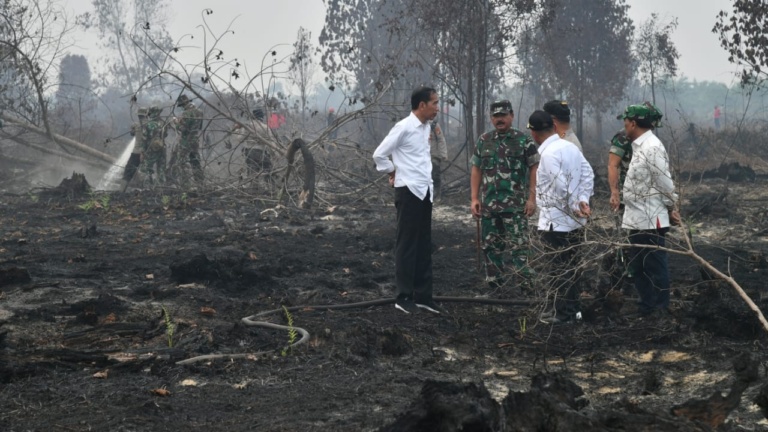 Presiden Joko Widodo (Jokowi) meninjau lokasi kebakaran hutan dan lahan (karhutla) di Desa Merbau, Kecamatan Bunut, Kabupaten Pelalawan, Kota Pekanbaru, Selasa 17 September 2019. (Foto: BPMI Setpres/Laily Rachev)