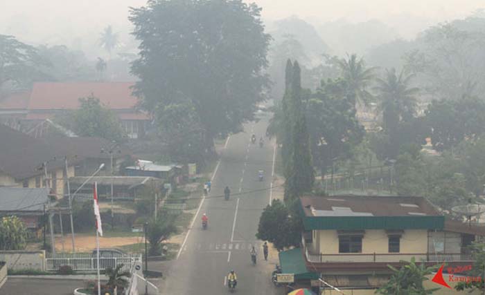 Kota Singkawang di Kalbar masih diselimuti asap akibat kebakaran hutan. (Foto"Antara)