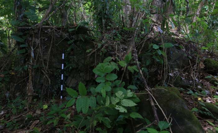 Sisi utara Benteng Toloa, bangunan pertahanan Kesultanan Tidore yang memiliki ciri konstruksi rancang-bangun benteng Eropa, saat pertama kali ditemukan oleh tim arkeolog dari Balai Arkeologi Maluku pada Agustus 2019. (Dokumentasi Balai Arkeologi Maluku)