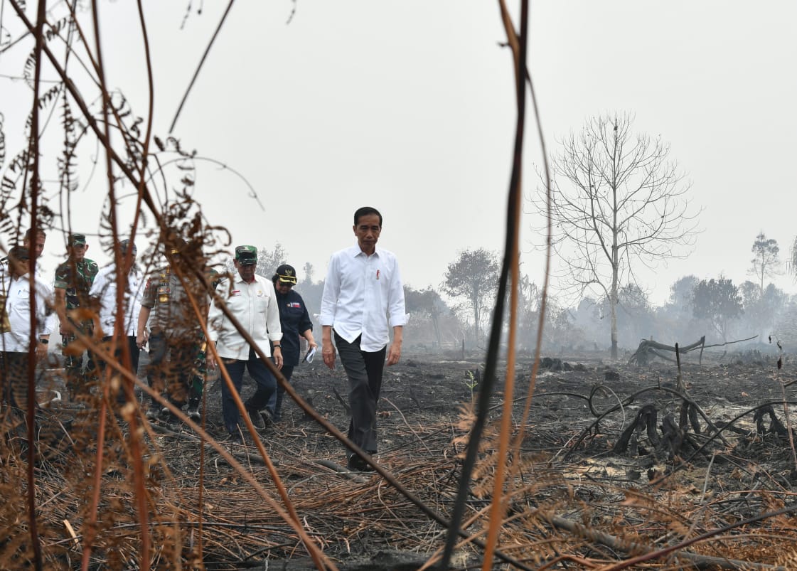 Presiden Jokowi meninjau pemadaman kebakaran hutan dan lahan di Riau, Selasa, 17 September 2019. (Foto: BPMI Setpres)