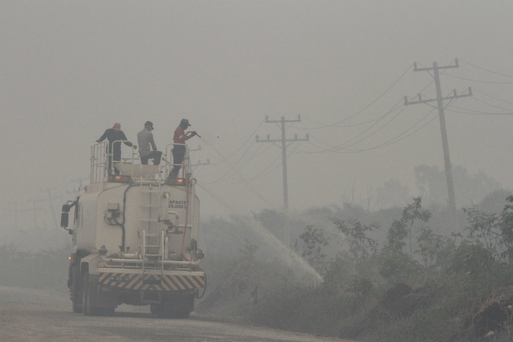 Petugas memadamkan api di pinggiran hutan Riau. (Foto: Dok/Antara)