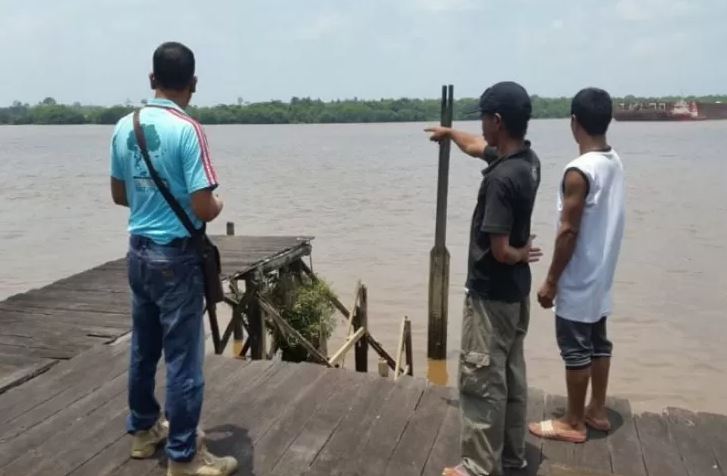 Komandan Jaga BKSDA Kalimantan Tengah Pos Sampit Muriansyah saat melakukan observasi di area Sungai Mentaya tempat buaya muncul pada Minggu 29 September 2019. (Foto: Antara/BKSDA)