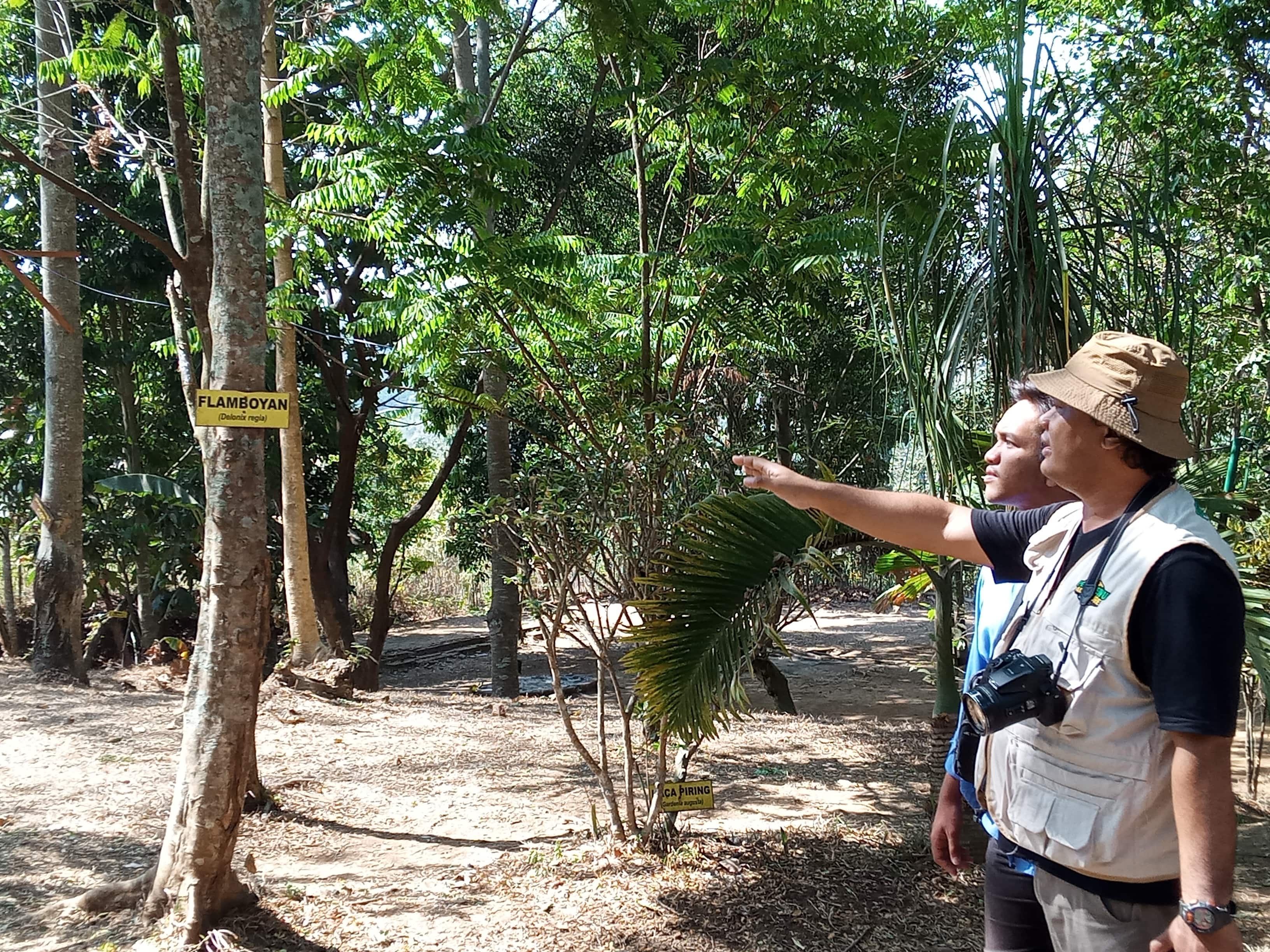 Pemilik P-WEC, Rosek Nursahid, saat menjelaskan jenis-jenis pohon kepada pungunjung (Theo/ngopibareng.id)