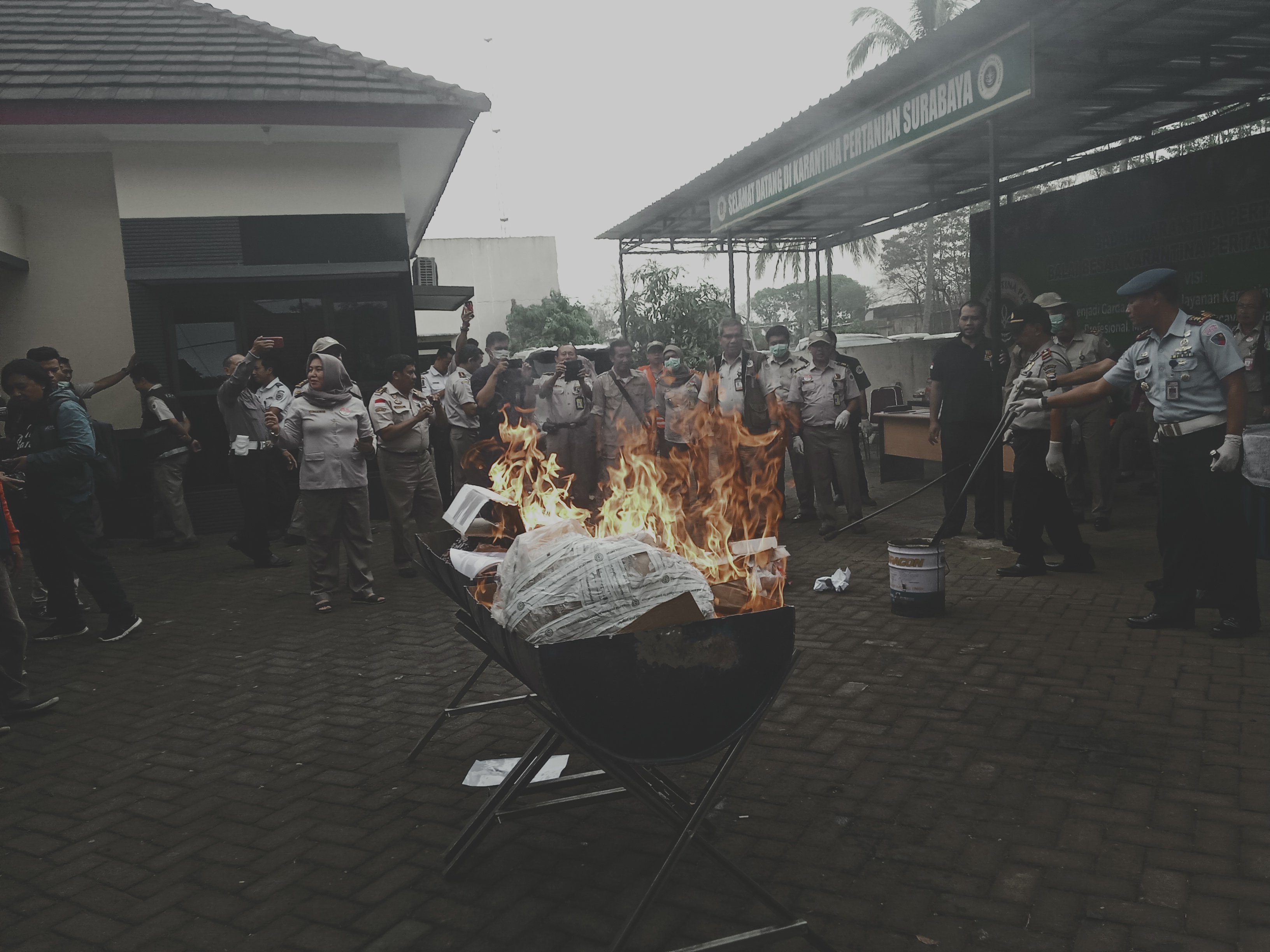 Proses pembakaran 83 bibit pertanian ilegal yang dilakukan BBKP Surabaya Wilker Bandara Abdul Rachman Saleh, Malang.  (Foto: Theo/ngopibareng.id)