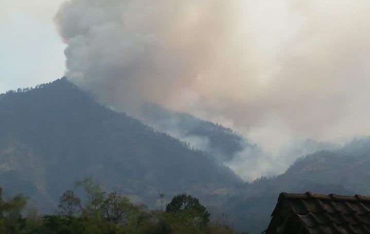 Kepulan asap di kawasan Taman Hutan Raya (Tahura) R.Soerjo, Gunung Arjuna, Kabupaten Malang (dok:foto istimewa)