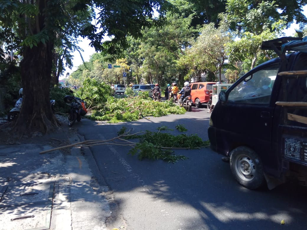 Petugas memangkas pohon di Jalan Diponegoro beberapa waktu lalu. (Foto: Alief/ngopibareng.id)