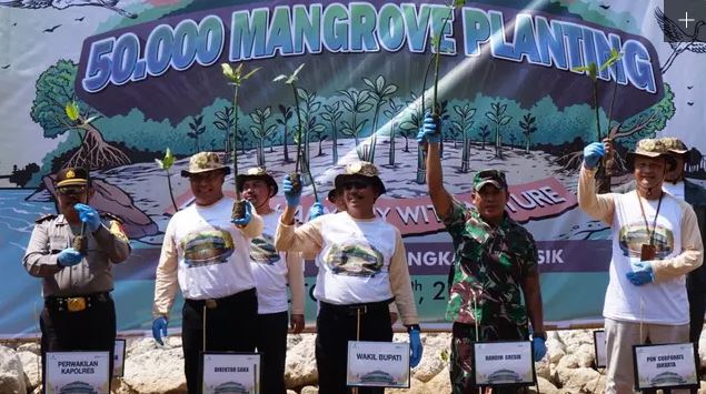 PGN Saka kembali melakukan penanaman kembali 50 ribu bibit mangrove dalam rangka mendukung capaian terkait adendum Amdal. (Foto: Istimewa)