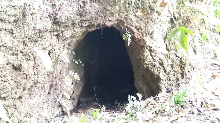 Satu dari 4 gua yg ditemukan di Lembah Pawon Sewu. (Foto: Istimewa)