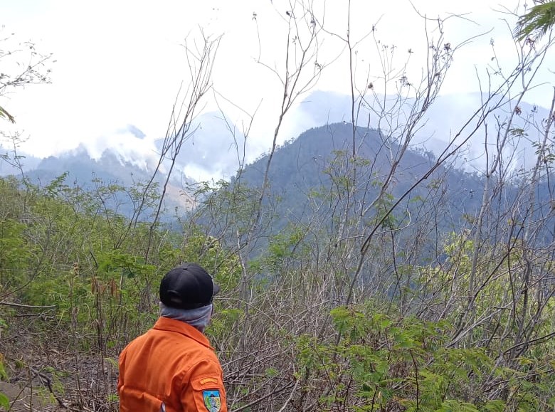 Tim gabungan berupaya memadamkan kebakaran hutan di lereng Gunung Wilis. (Foto: Istimewa)