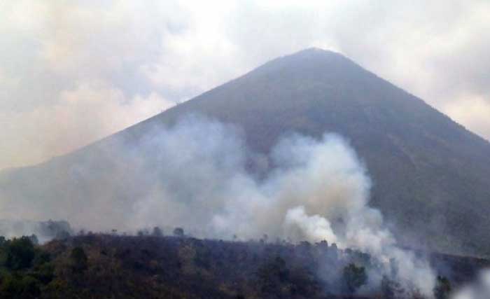 Asap mengepul akibat hutan terbakar di sisi utara Gunung Lemongan, Lumajang, Jawa Timur kemarin. (Foto:Antara)
