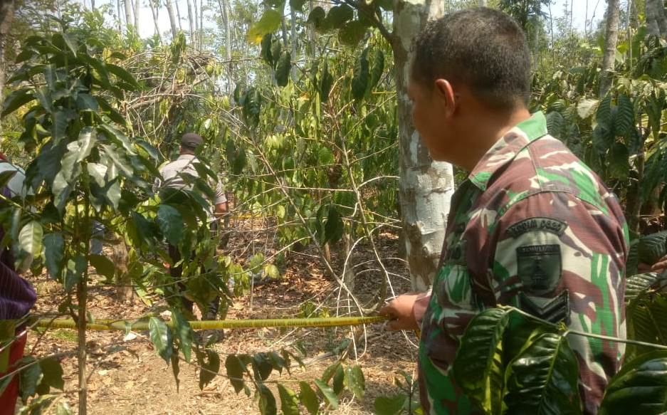 SEORANG anggota TNI menyaksikan olah TKP pembunuhan di Desa Rambaan, Kecamatan Sumber, Kabupaten Probolinggo dari luar garis polisi. (Foto: Istimewa/ngopibareng.id)