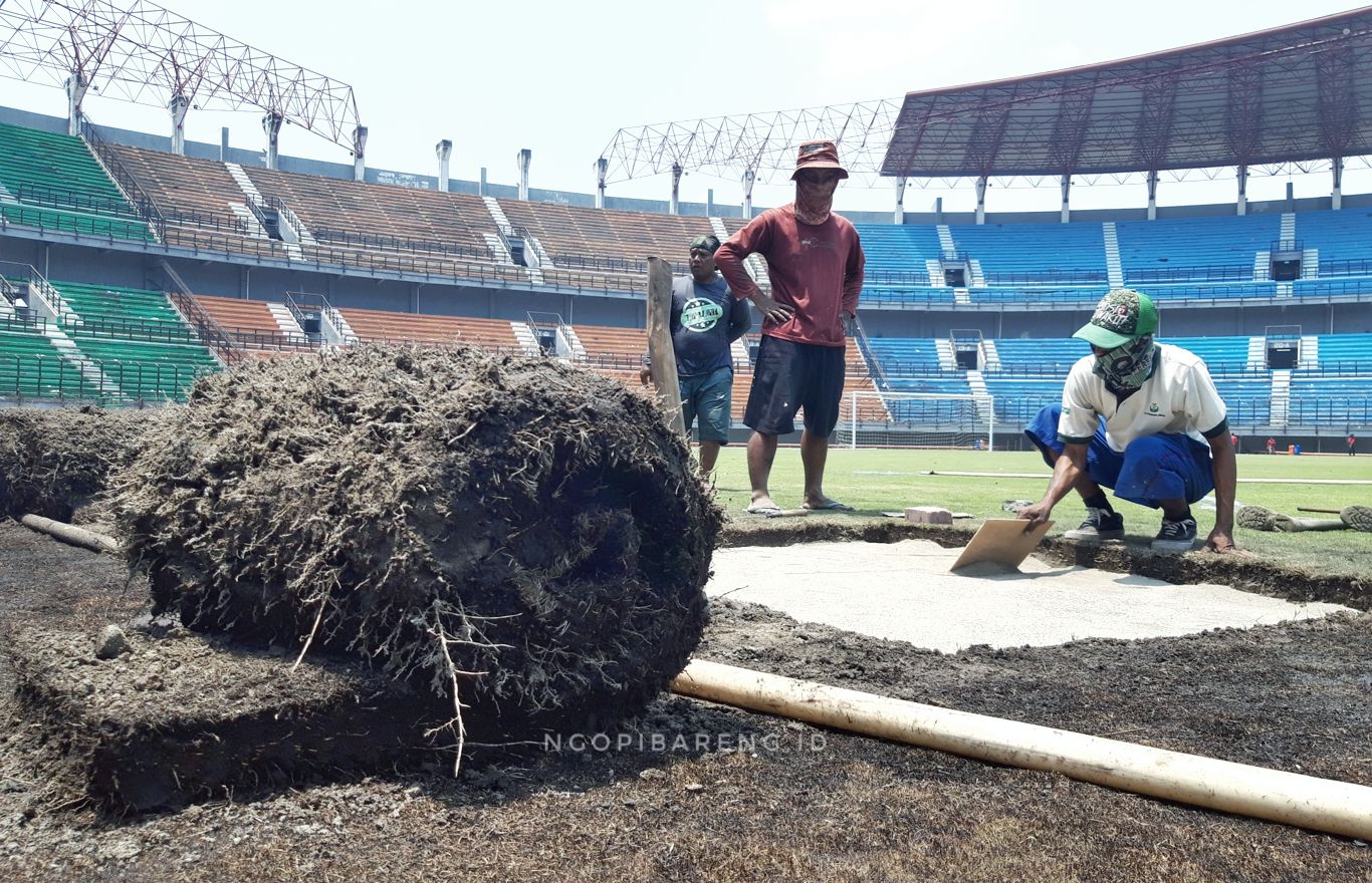 Sejumah pekerja tampak mengganti rumput stadion GBT pasca kerusuhan Bonek semalam. (Foto: Haris/ngopibareng.id)