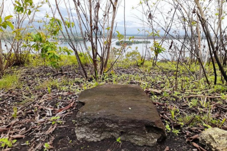 Penelitian Balai Arkeologi Papua di Bukit Yomokho, Kampung Dondai, Distrik Waibu, Kabupaten Jayapura, Papua berhasil menemukan tinggalan megalitik, diantaranya sebuah batu papan. (Foto: Antara)