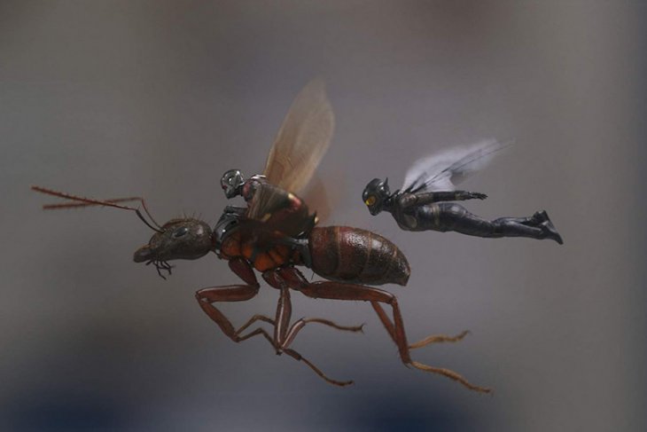 Salah satu adegan di film "Ant-Man and The Wasp". (Foto: istimewa)