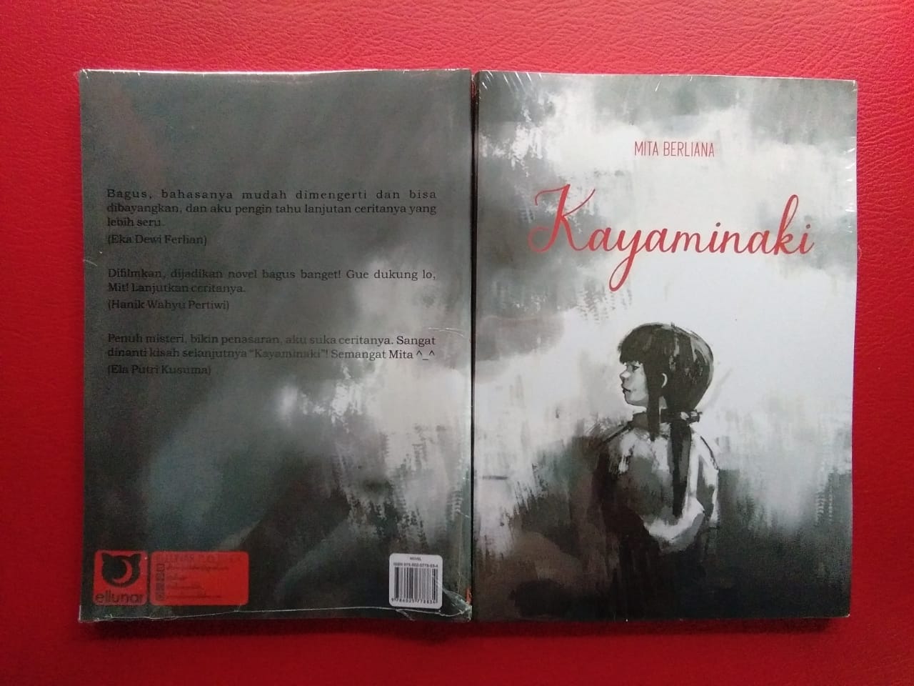 Cover novel Kayaminaki.