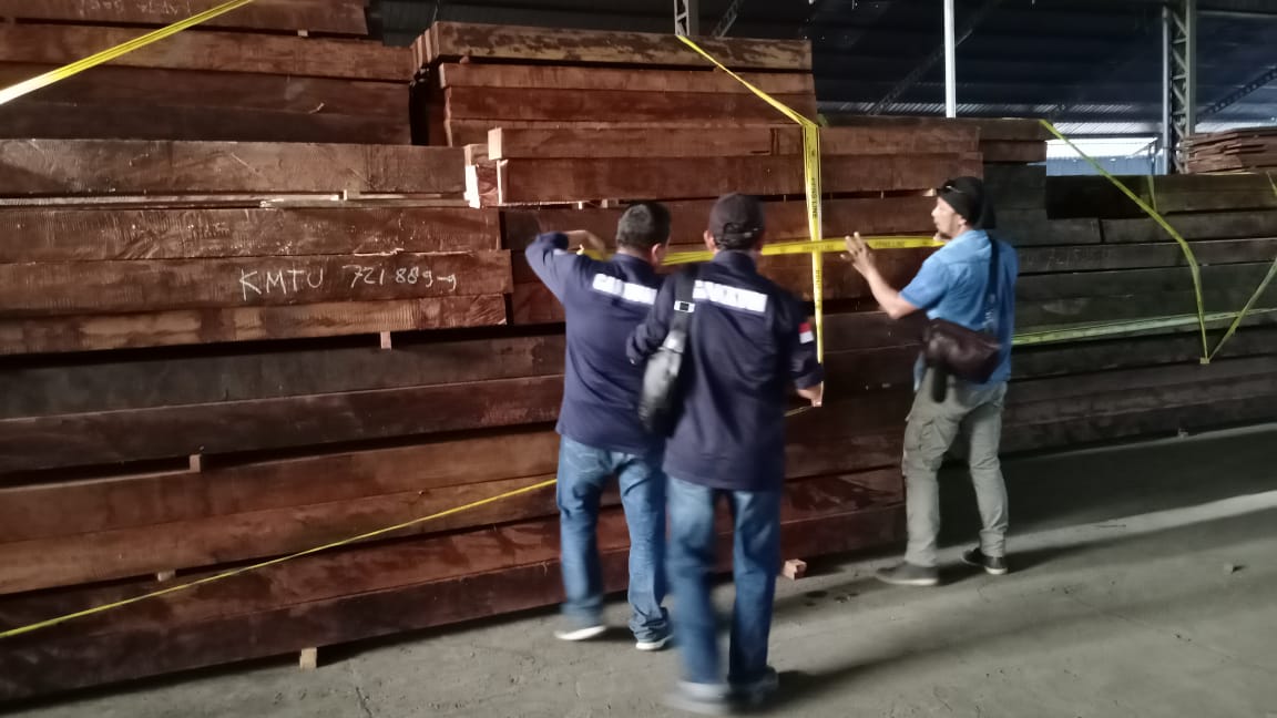 Ratusan meter kubik kayu tanpa dokumen diamankan KLHK Jabalnusra di Pelabuhan Tanjung Perak. (Foto: Istimewa)