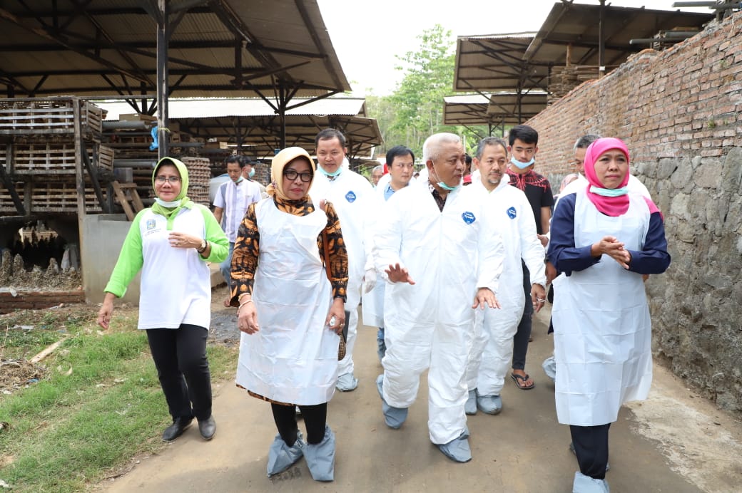 Rombongan Gubernur Jatim saat sidak di produsen telur ayam di Malang. (Foto: Istimewa/ngopibareng.id)