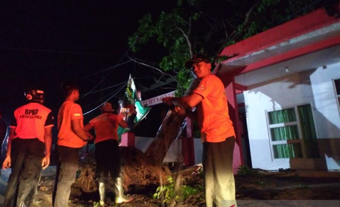 Puskesmas pembantu Antirogo rusak diterjang hujan deras dan angin kencang, Senin malam. Para petugas BPBD Jember sedang bertugas mengangkat pohon yang menimpa bangunan. (Foto:Antara)