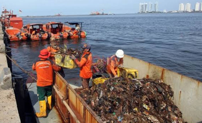 Petugas kebersihan DKI membersihkan sampah di Teluk Jakarta. (Foto:OkeZone)