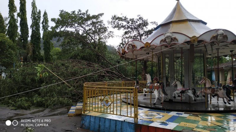 Sejumlah pohon di lokasi wisata Goa Selomangkleng tumbang saat terjadi hujan es di daerah itu, Rabu, 25 Desember 2019. (Foto: Fendi/ngopibareng.id)
