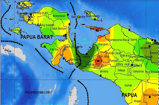 Peta Papua. (Foto: Istimewa)