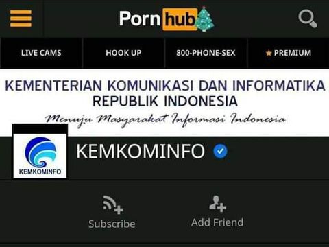 Kemkominfo muncul di situs porno atau pornhub. (Foto: Twitter)