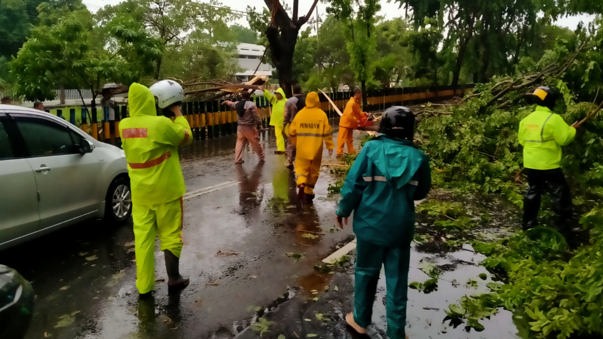 Personil Satgas 112 Surabaya Selatan melakukan evakuasi pohon tumbang di Jalan A.Yani, Surabaya, Minggu 5 Desember 2020. (Foto: Fariz/ngopibareng.id)