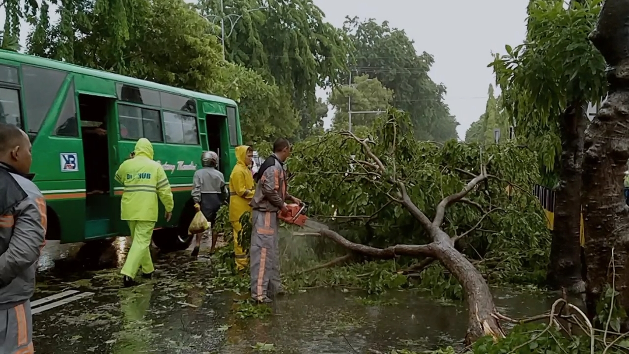 Satgas 112 melakukan evakuasi pohon tumbang di Jalan A. Yani Surabaya, Minggu 5 Januari 2020. (Foto: Fariz/ngopibareng.id)
