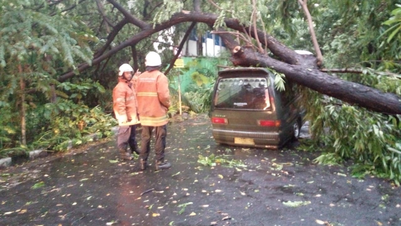 Pohon tumbang di Jalan Rungkut Asri menimpa sebuah mobil penumpang umum. (Foto: Istimewa)