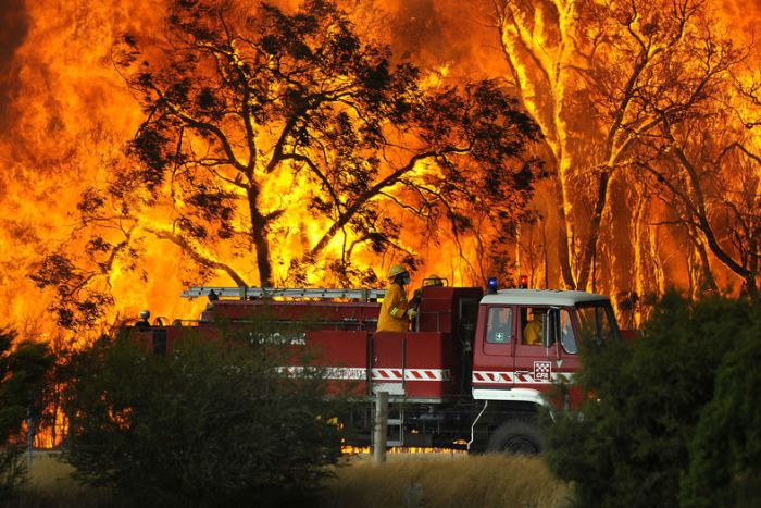 Petugas pemadam kebakaran sedang bertugas di kawasan hutan di Australia. (Foto: abc.net.au)