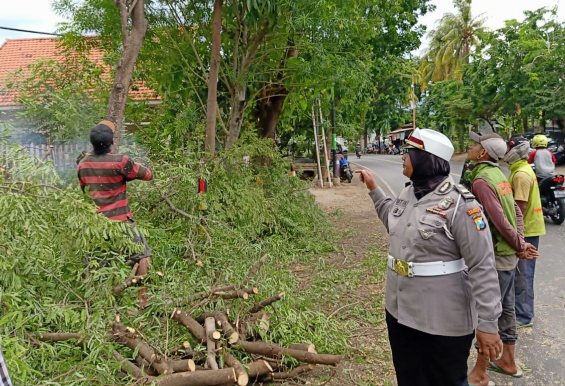 Kanit Dikyasa Satlantas Polresta Banyuwangi Iptu Datuk mengawasi proses pemotongan ranting pohon rapuh. (Foto: Istimewa)