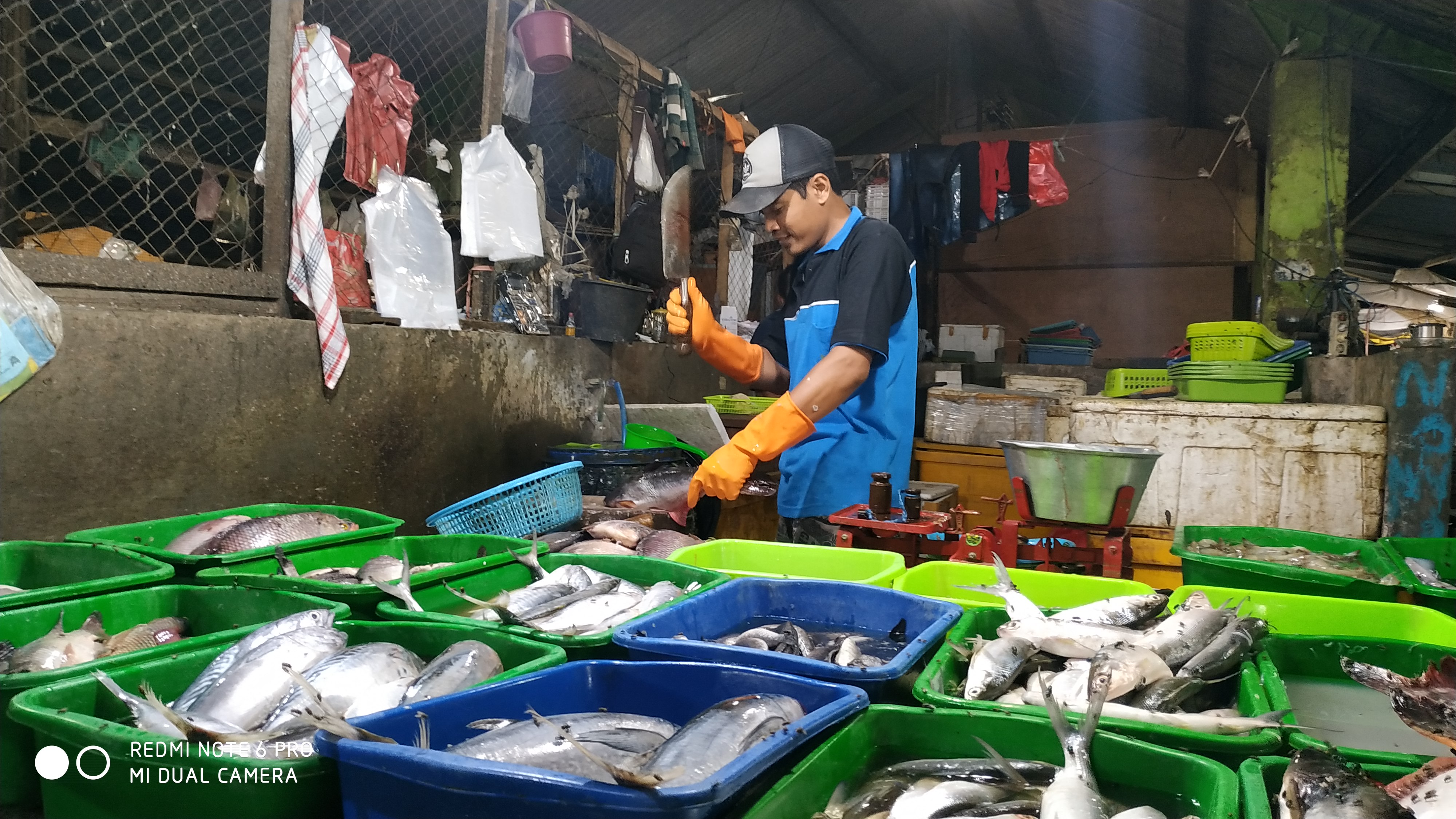 Anton salah satu pedagang ikan laut di Pasar Setono Betek (Fendi/ngopi bareng.id)