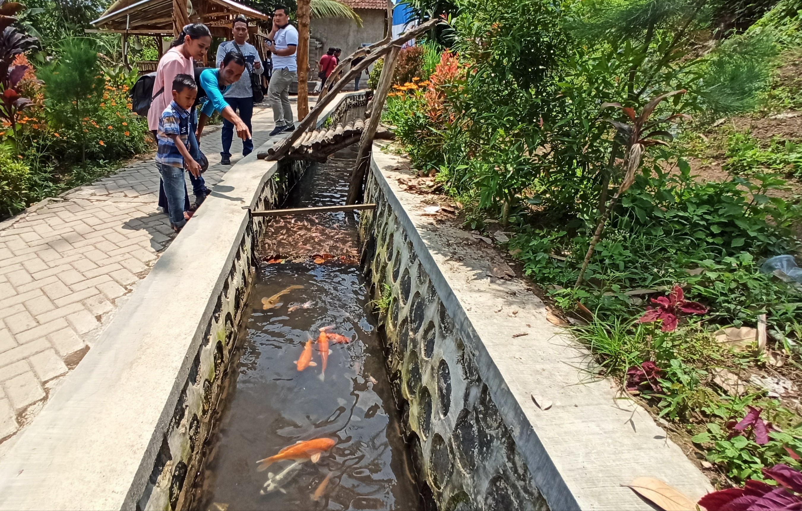 Pengunjung melihat ikan berwarna warni yang ada di selokan (foto : Hujaini/ngopibareng.id)