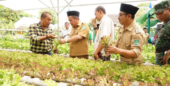 Wakil Bupati Pasuruan, KH Mujib Imron meninjau pertanian Hidroponik di Kecamatan Rejoso. (Foto: Dok Humas)