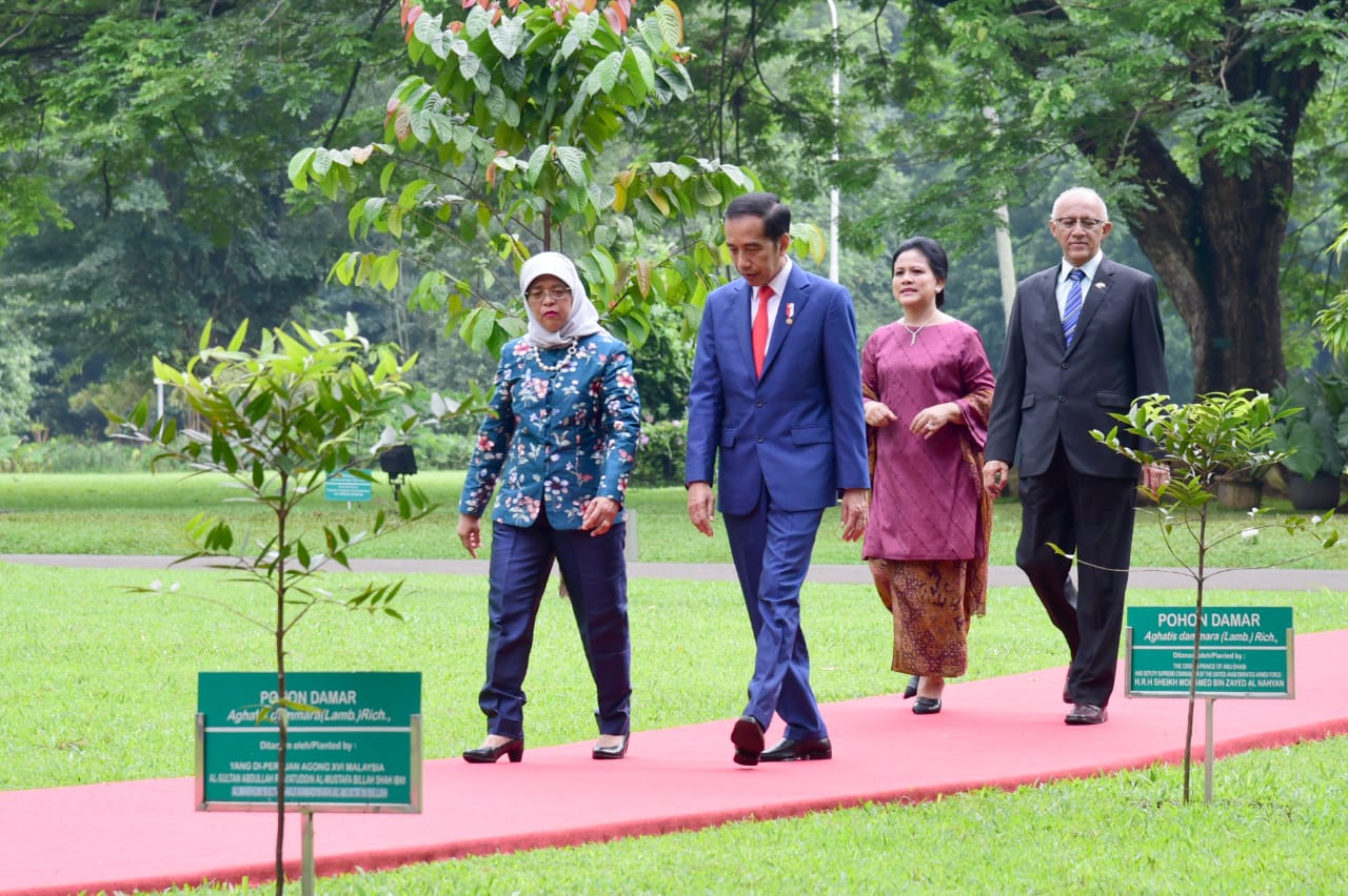 Presiden Joko Widodo mengajak  tamunya Presiden  Singapura Halimah Yacob berkeliling dan menanam pohon di halaman Istana  Bogor,   Selasa, 4 Februari 2020.(foto: BPMI Setpres).